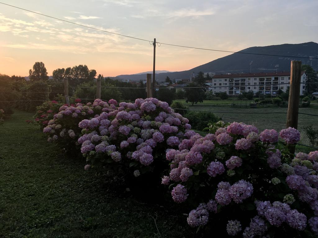 Apartment Nova Gorica - Nocitve Falco 외부 사진